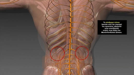 prostatitis lower back pain reddit)