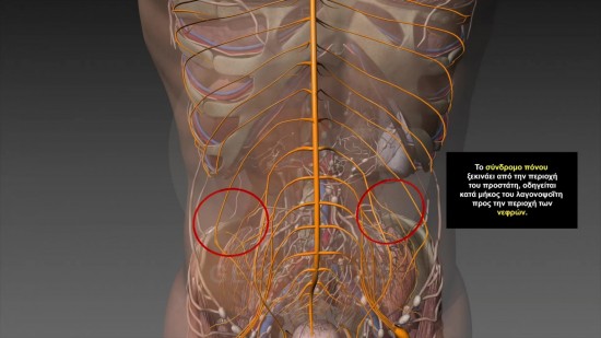 prostatitis lower back pain reddit Karcolás scrotum prosztatitis